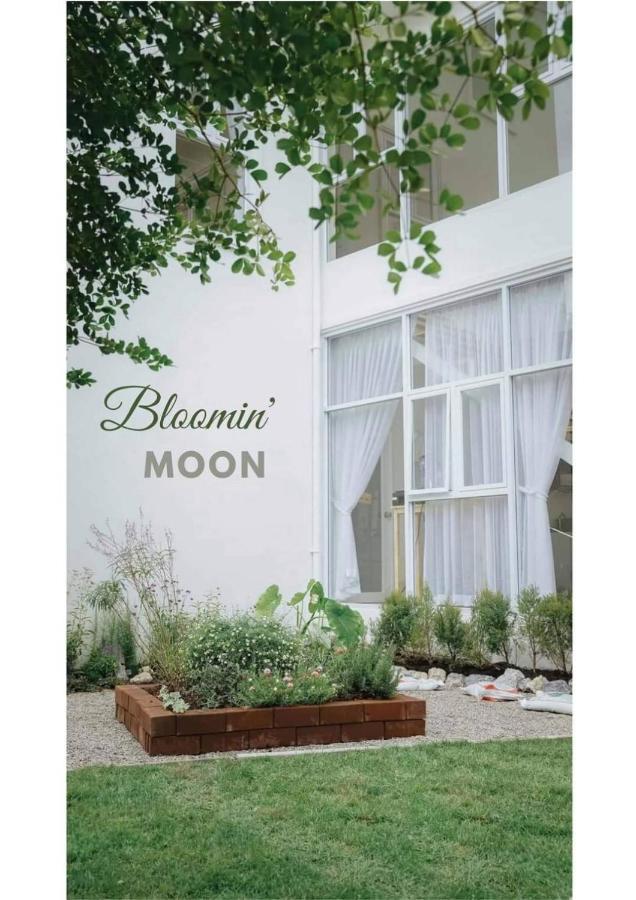 Bloomin' Moon Hostel & Cafe, Chiang Mai Old Town Dış mekan fotoğraf